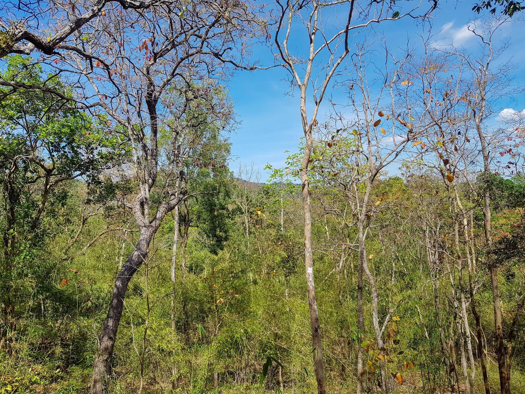 Ratanakiri Homestay & Jungle Trek Banlung Exteriér fotografie